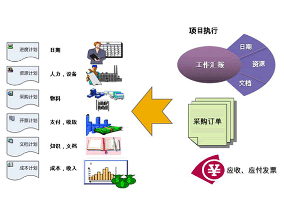 SAP項目管理軟件